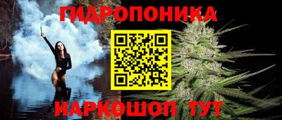 сатива Бузулук