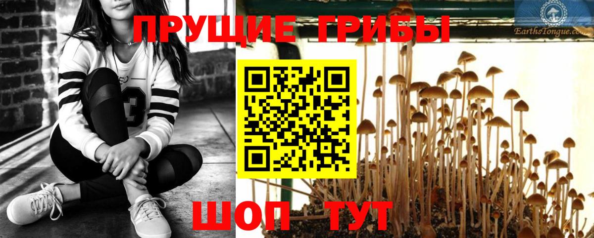 Краснокамск  Псилоцибиновые грибы MAGIC MUSHROOMS  Вход с VPN 